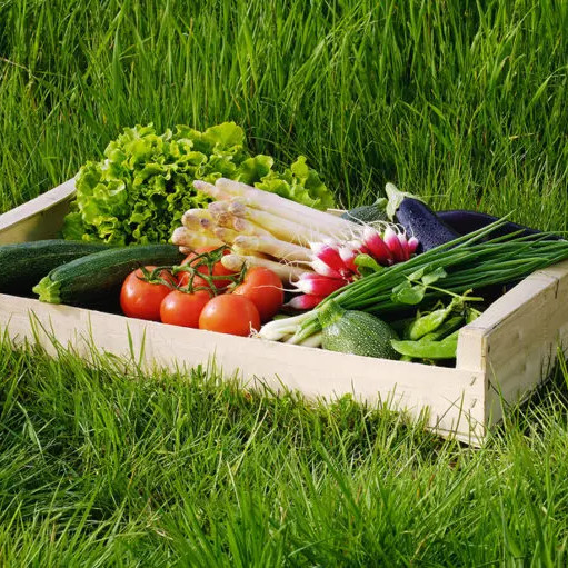 paniers-legumes-bio-768x511.jpg